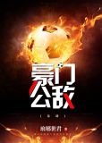 豪门公敌足球txt