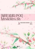 [疑犯追踪/POI]Mrs&Mrs.Shaw肖根夫妇 (史密斯夫妇梗AU）